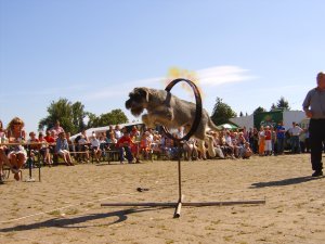 Ganz sch�n warm heute