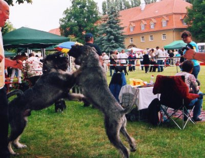 Entspannung Gloris und Gero