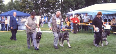 Gero, Gerry und Gloris