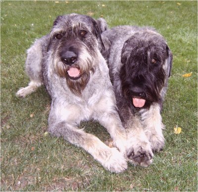 ungew�hnlicher Anblick